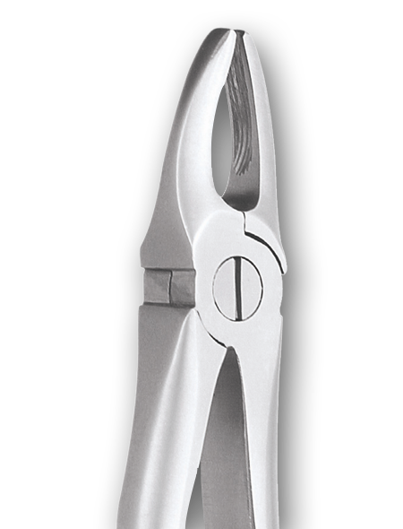 EXTRACTING FORCEPS ENGLISH PATTERN